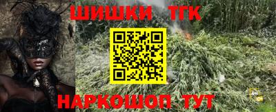 МДПВ Гагарин