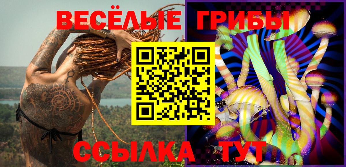 Галлюциногенные грибы Psilocybe Казань