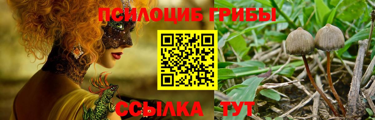 Галлюциногенные грибы MAGIC MUSHROOMS Казань