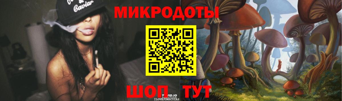 Галлюциногенные грибы Psilocybine cubensis  Казань  Псилоцибиновые грибы Psilocybine cubensis 