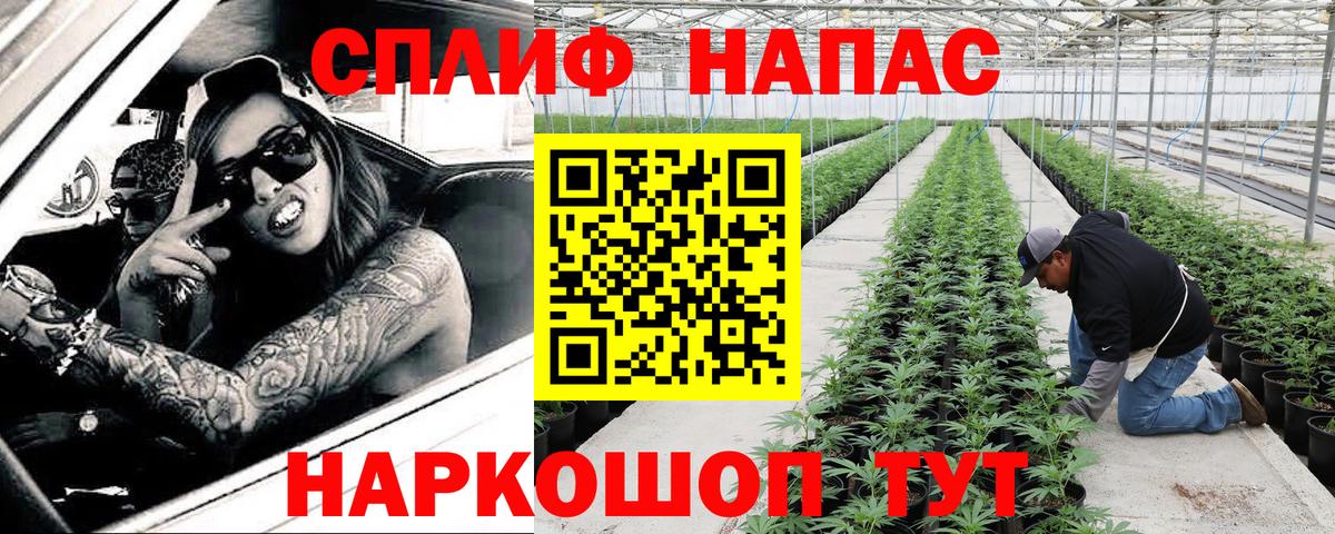 Канабис планчик Казань